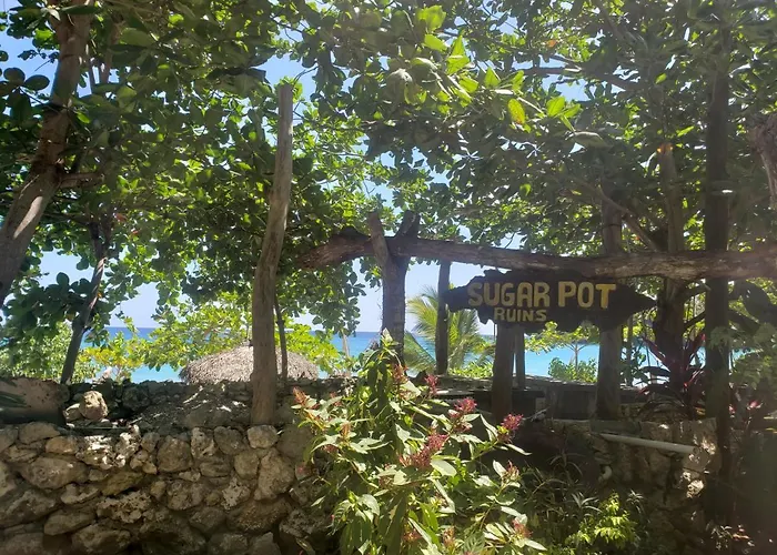 Bed & Breakfast Sea Shell Palms,