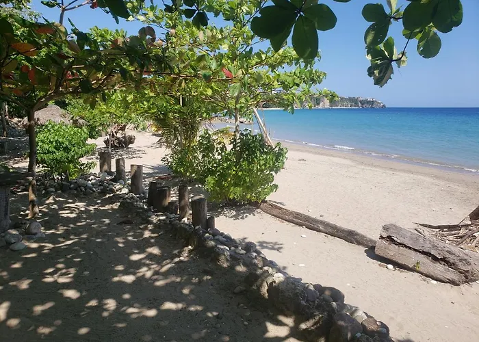Bed & Breakfast Sea Shell Palms, Ocho Rios