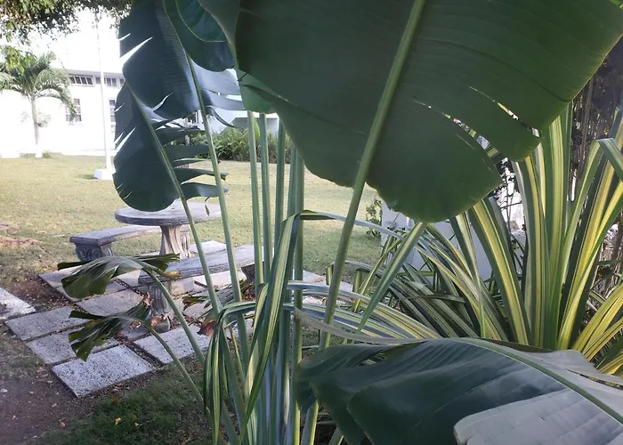 Sea Shell Palms, Ocho Rios