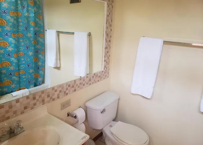 Sea Shell Palms, Bed & Breakfast 3*