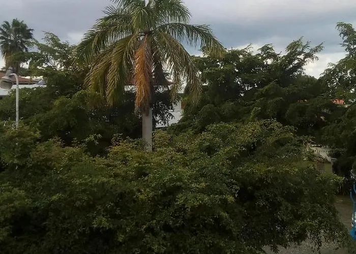 Bed & Breakfast Sea Shell Palms,